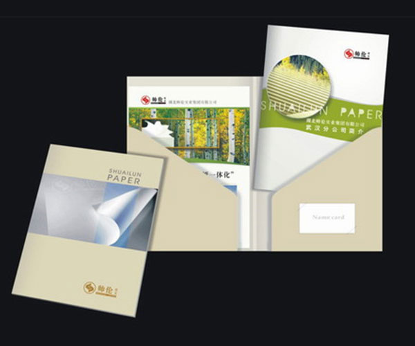 创意驱动，品牌升华——宝安品牌策划与彩页设计服务全攻略